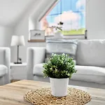 Apartment Karlstadt Karlovy Vary